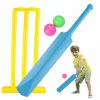 boy playing cricket